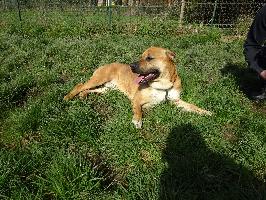Photo de TITAN
