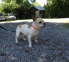 Photo de SPIKE